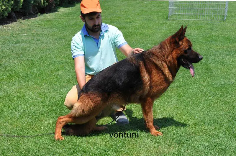 Ralf von der Kocaeli