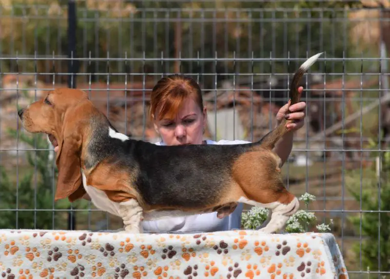 Lonesome Lewis V. Grunsven