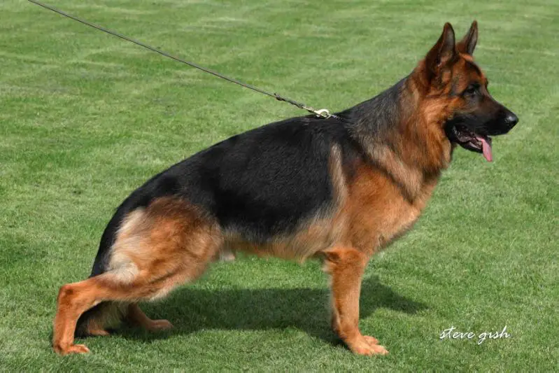 V Poldi vom Friedenspark