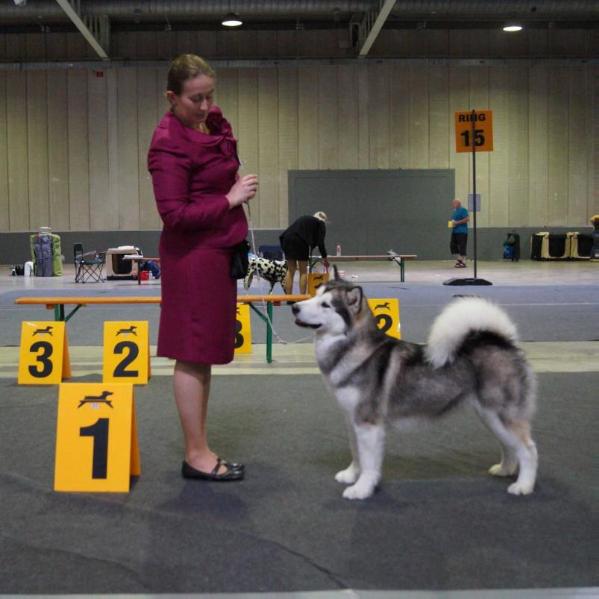 Monikoona Heaven Sent