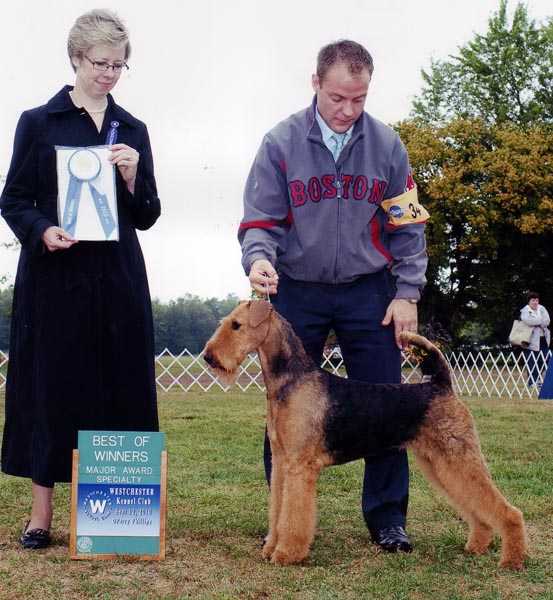 AMCH Joval Angel's Curtain Call