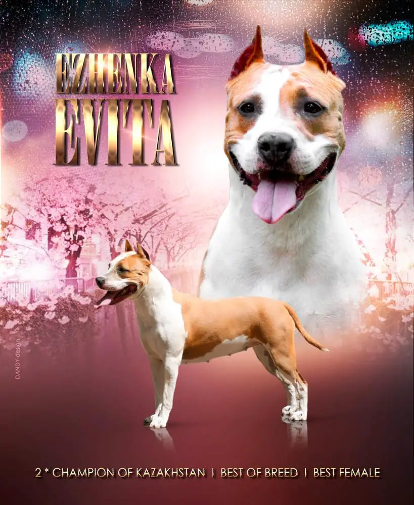 2XCH Kz Ezhenka-Evita