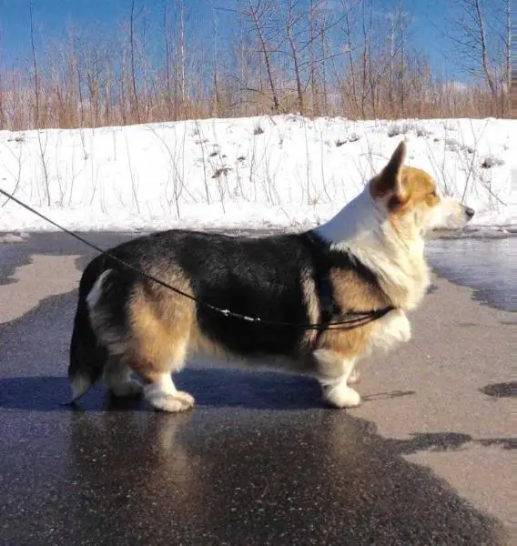 ANYUTINA OCHAROVASHKA GULNAZ