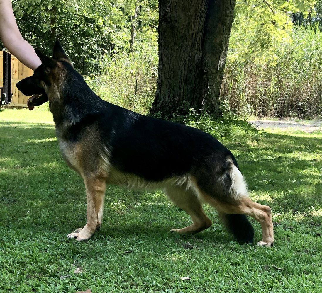 Jewels Daughter Of A Seawitch