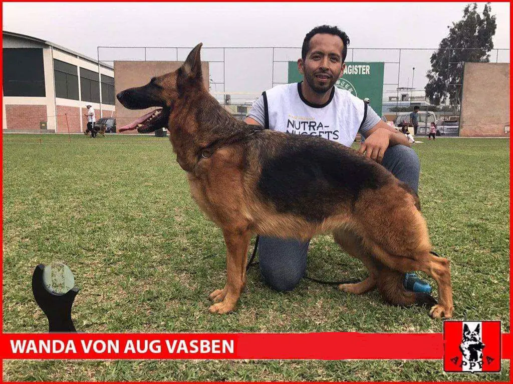 Wanda von Aug Vasben