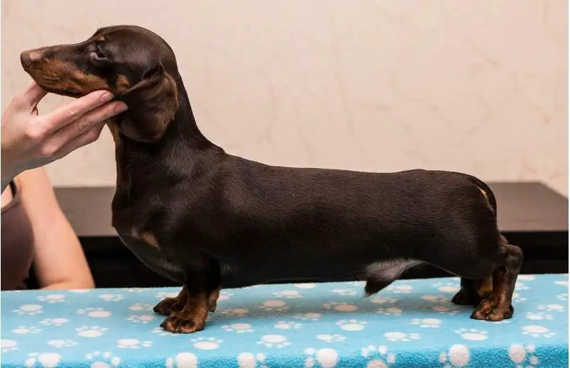 CH SoKisable Look At Me