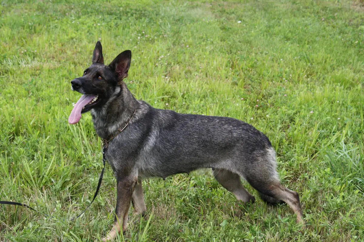 Ruby V Hoffenmiller