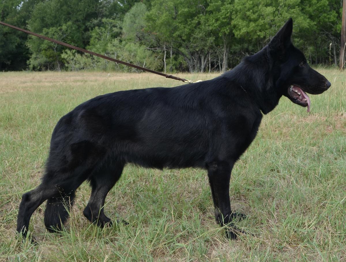 Minnie Wilda z Hrdinneho Odvahy