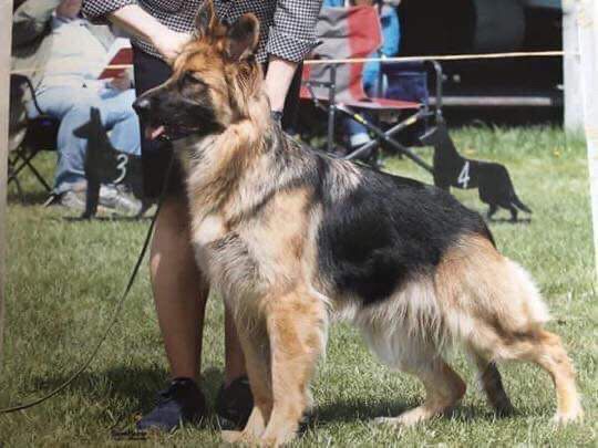 Peakes Brook Xceeds All Xpections