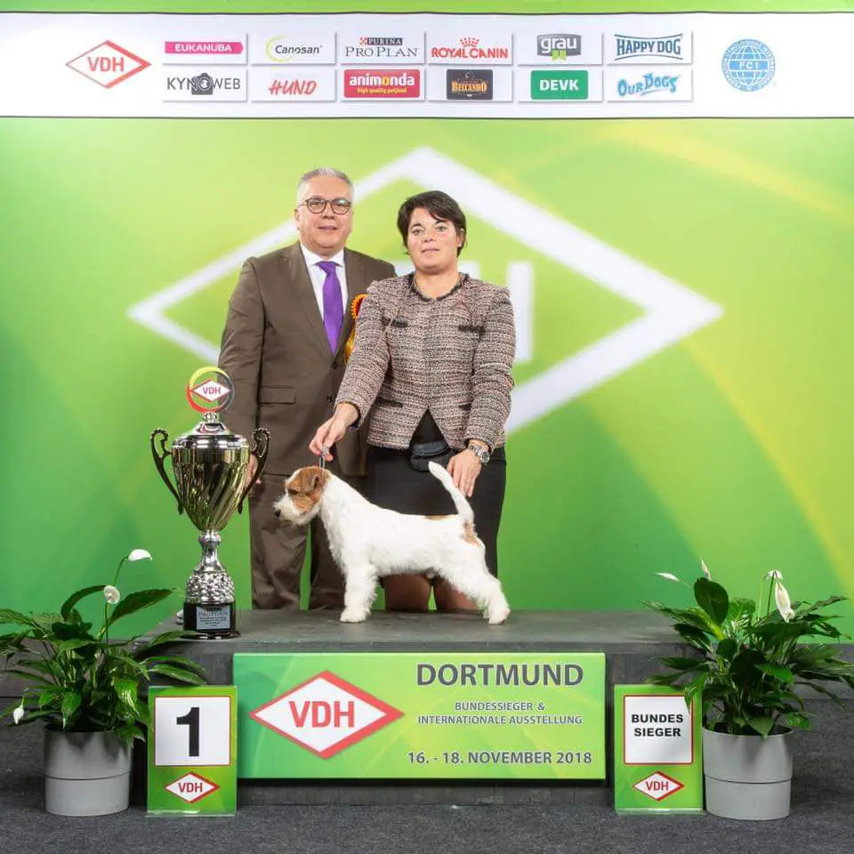 Touchstar Neverending Story