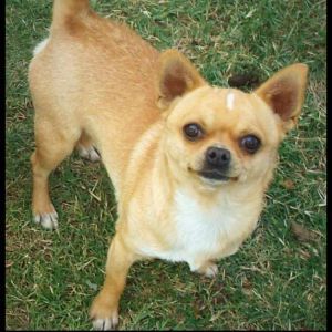 Loucan's Hot Like Mexico