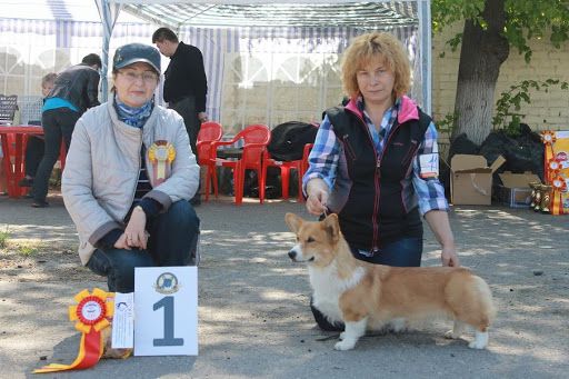 J CH RUS, CH RUS Andvol Hitachi