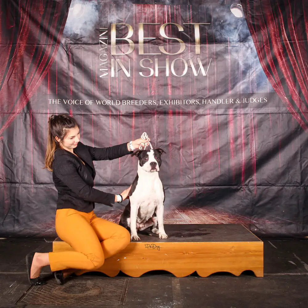 Rio Negrita of Fianna Team