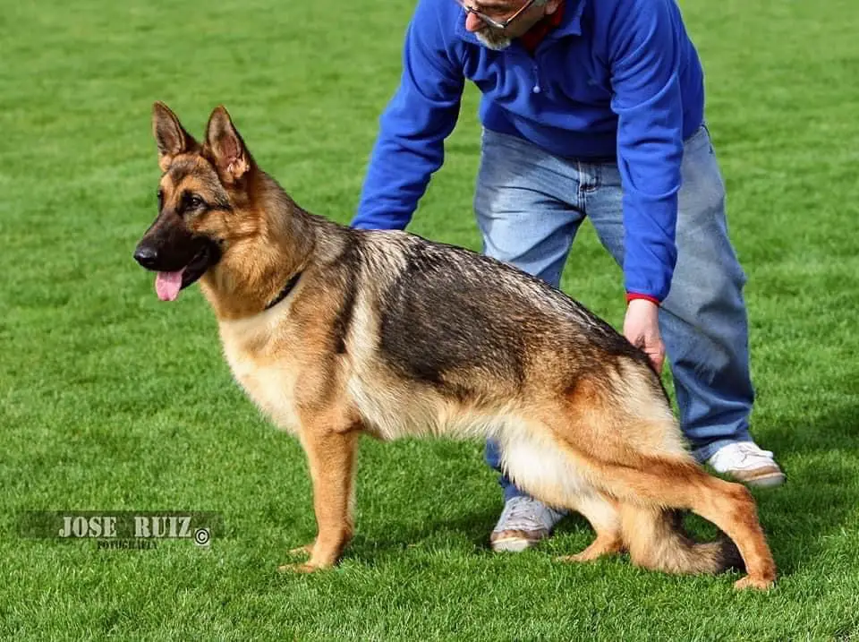 Sasha del Nou Gilbay