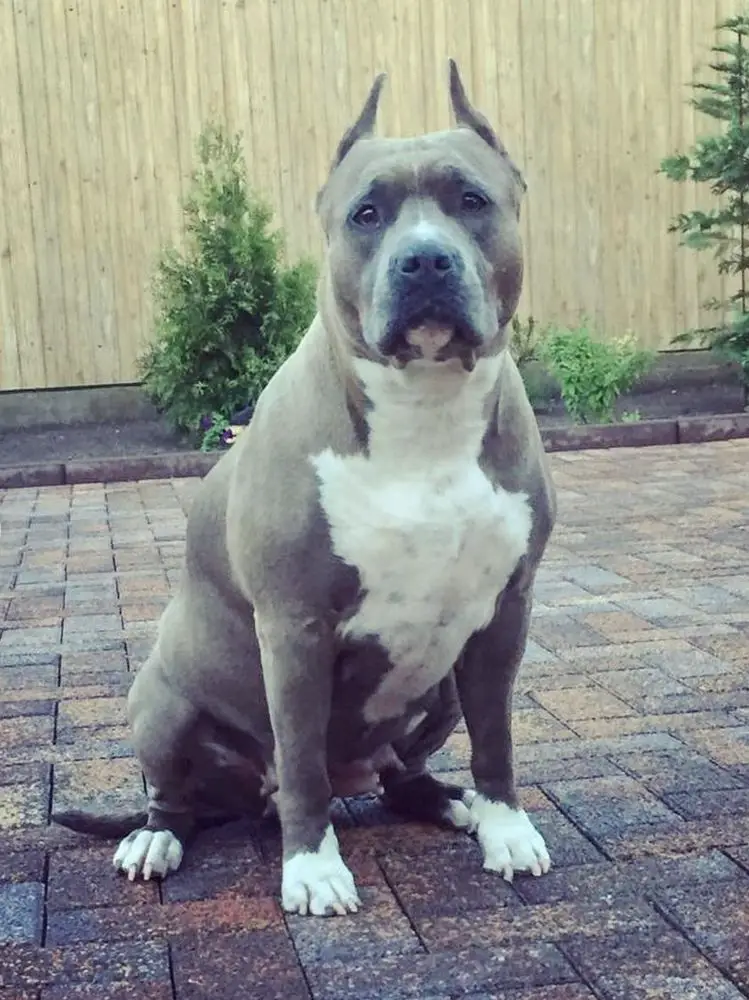 JCHR, CHR, 2*CHRKF INGA NICE TO WIN