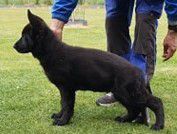 Thorgal Mont d' Osiris