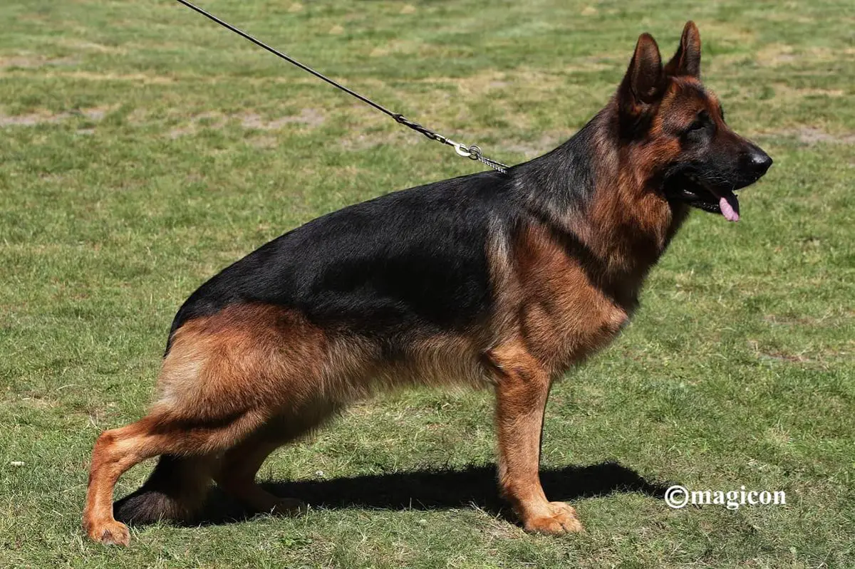 VA6 SP Xenos von Nürburgring