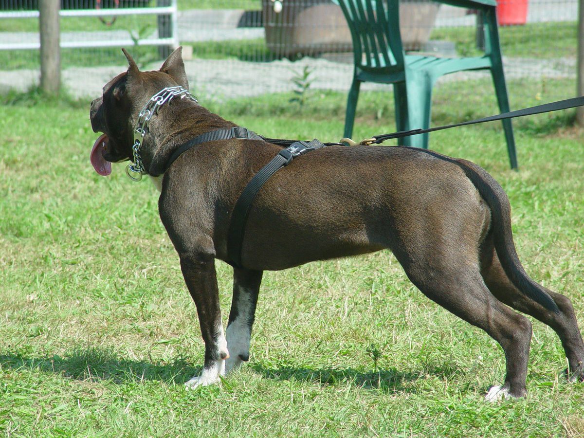 Hickory Hill's Tacoma One To Go