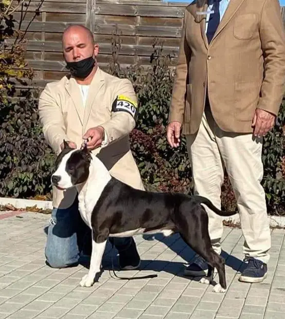 Nardai Hurrikan Rising Star