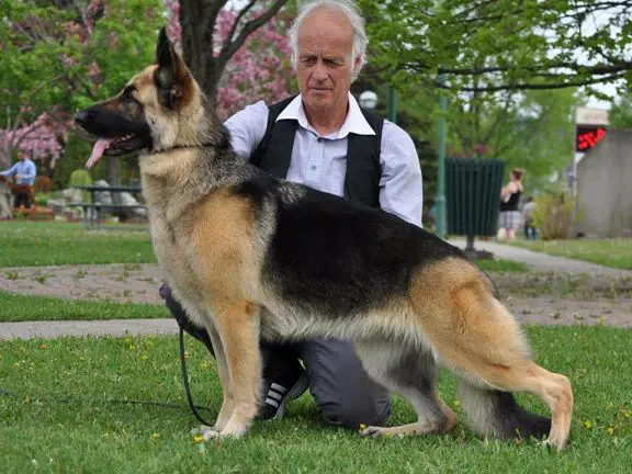 Lacomtesse Alors La Vie