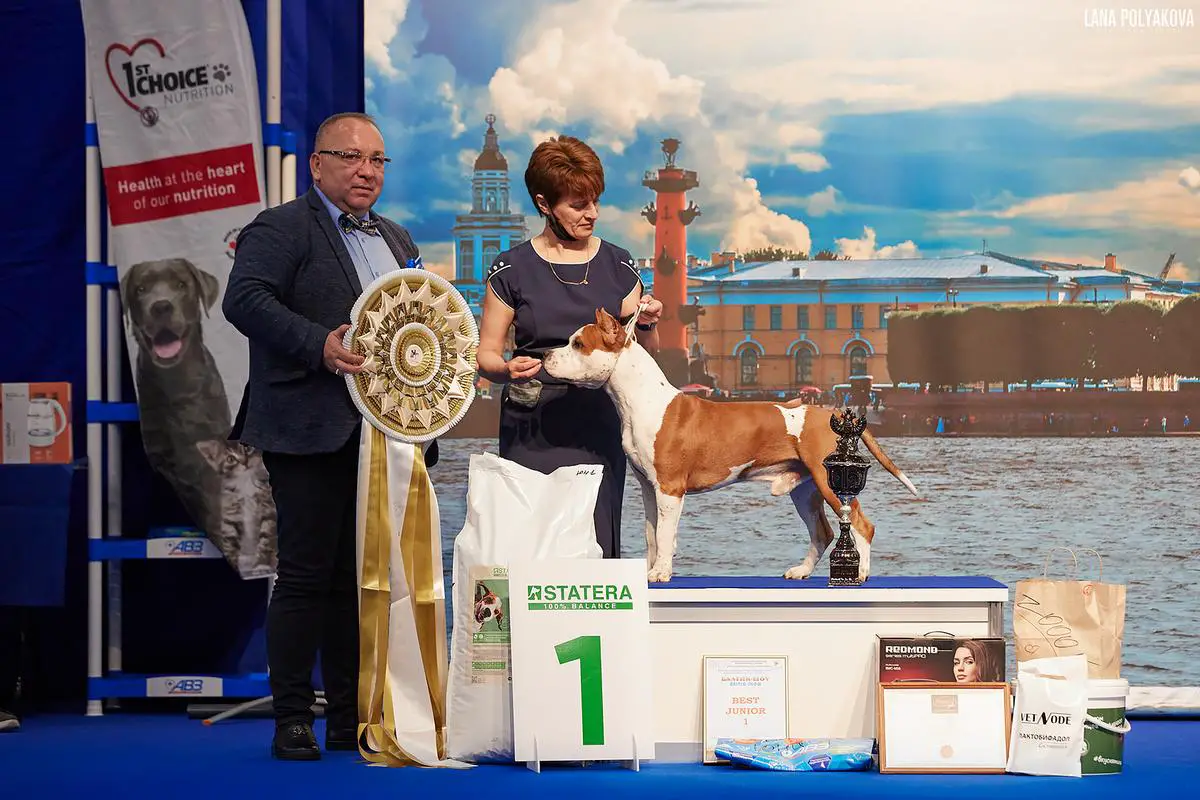 JunChRUS, JunChRKF, JunBIS, ChRUS, ChRKF Severnaya Zhemchuzhina ULTIMATUM