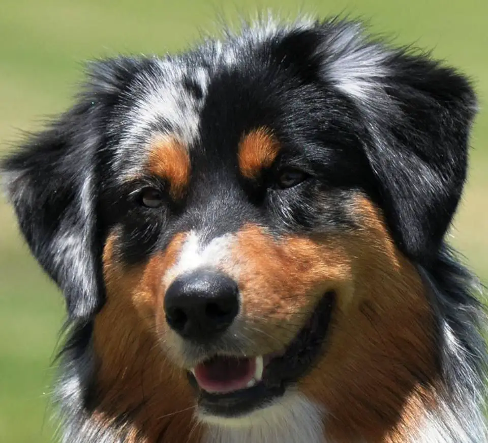 Baywinds Watch Her Strut