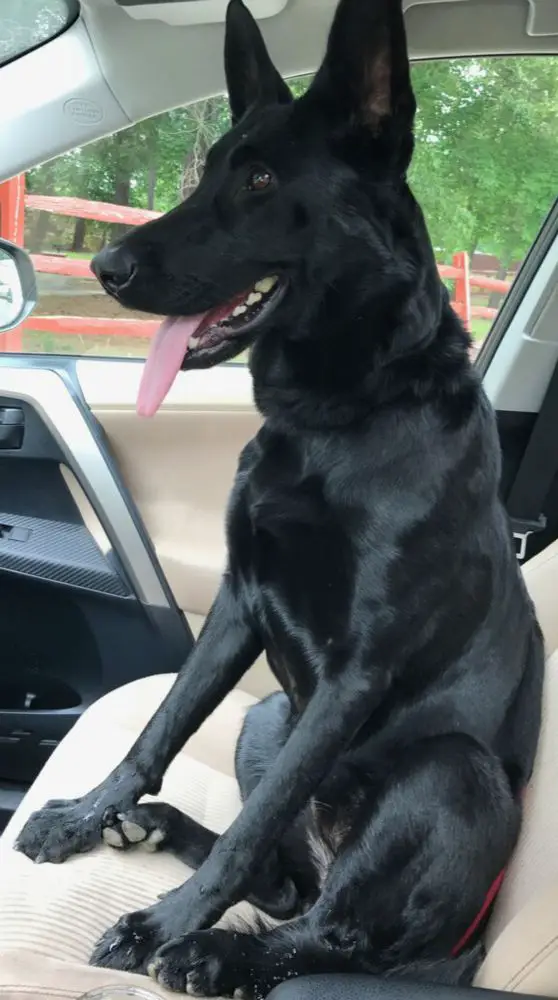 Espiritus Midnight Confession