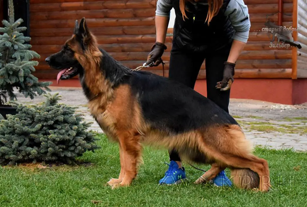 Team Zilber Wasserfall POBEDA