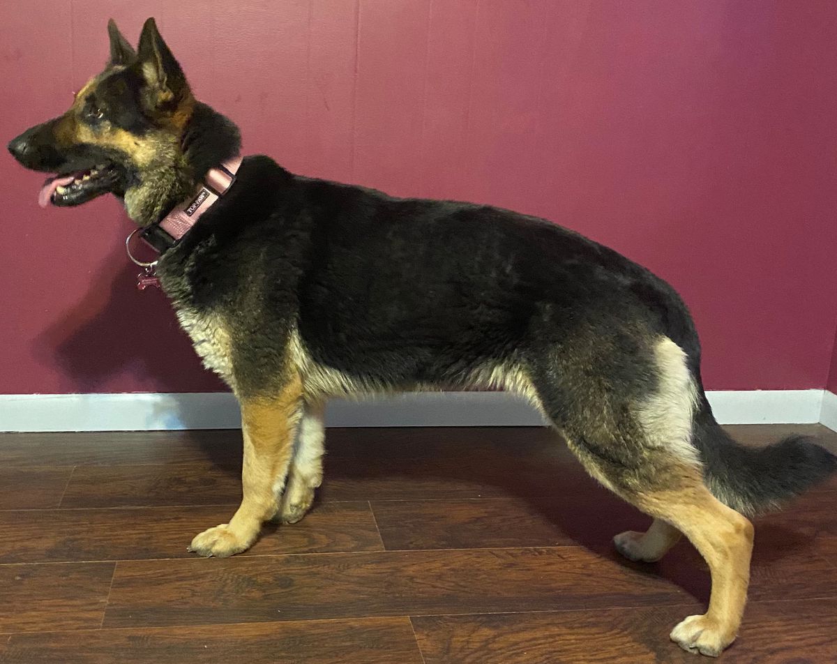 Essie Anne of Von Max