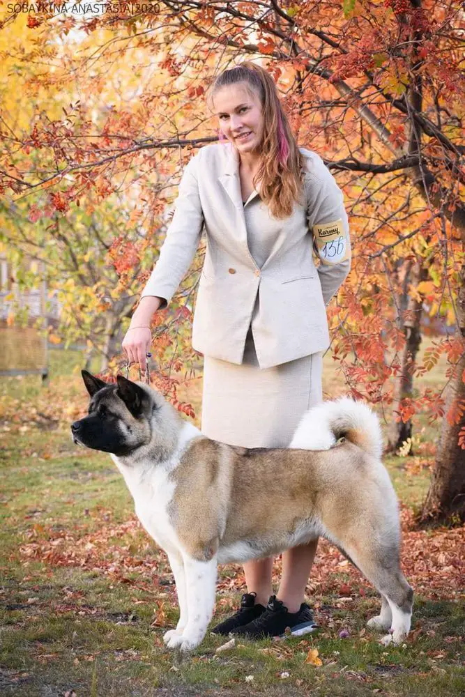 Evelin Iz Alekona