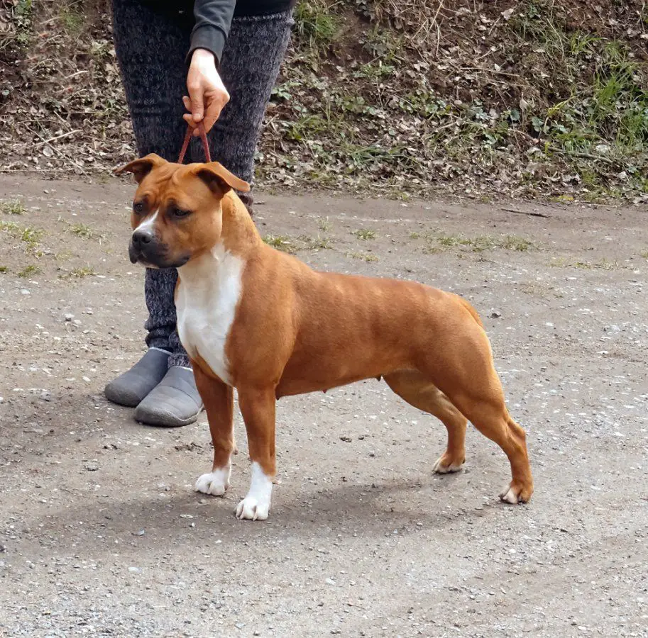 Valerie Tipit z Hanky