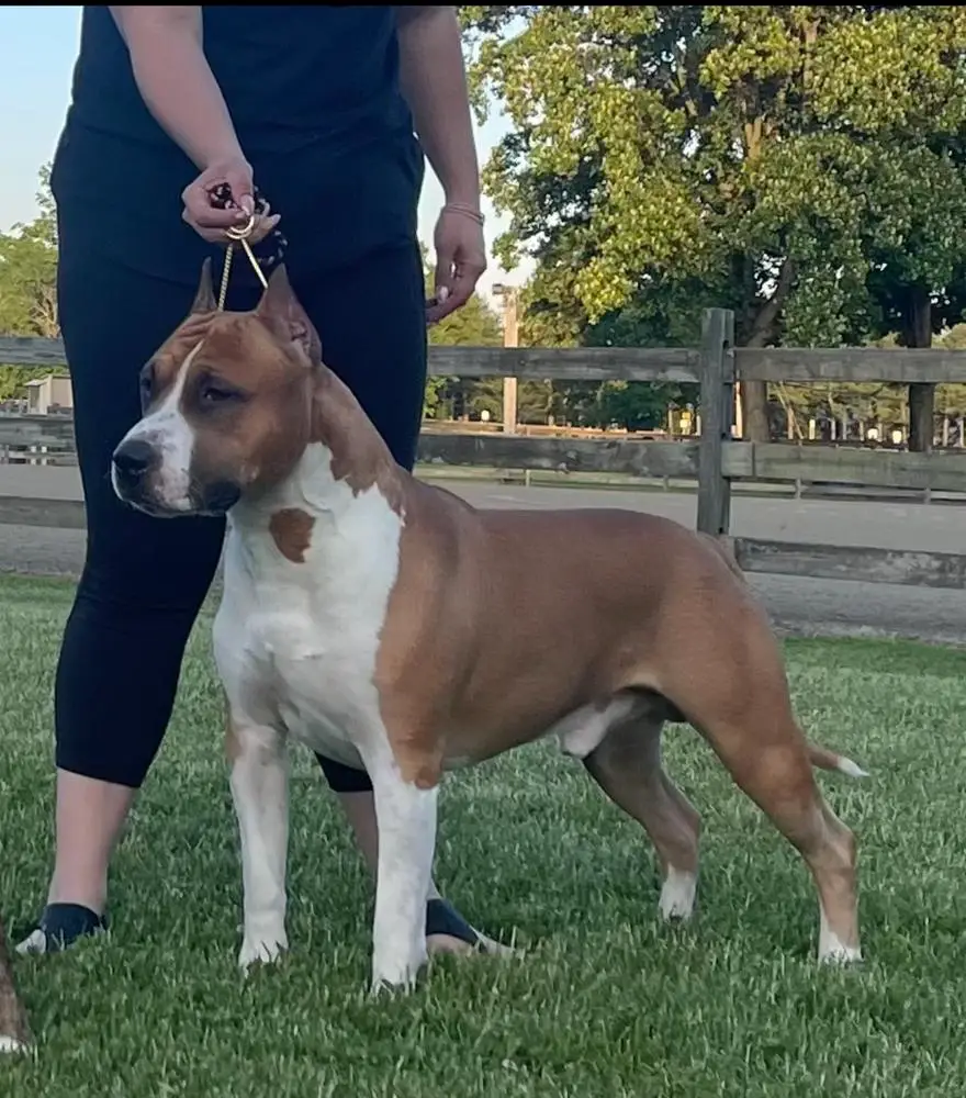 G CH Fraja EC Repeat After Me