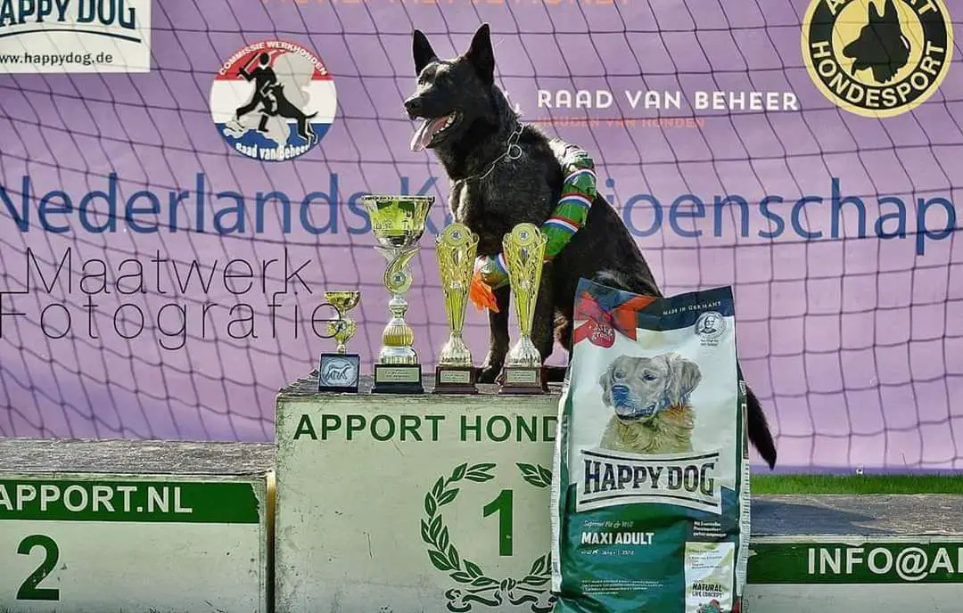 Holland Messi V Le Dobry