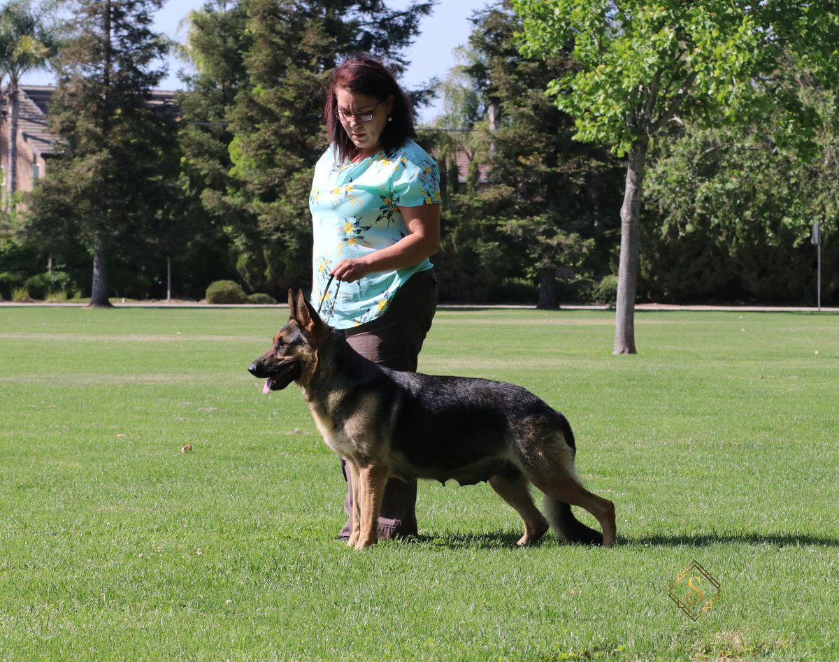 Kimmelot's Flammin Summer