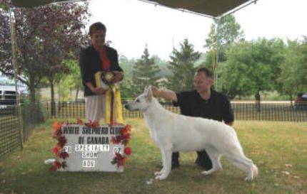 HOCKLEY WHITE LIGHTING