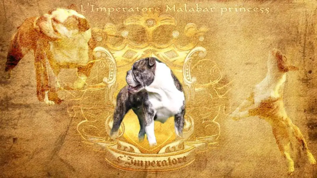 L'Imperatore Malabar Princess