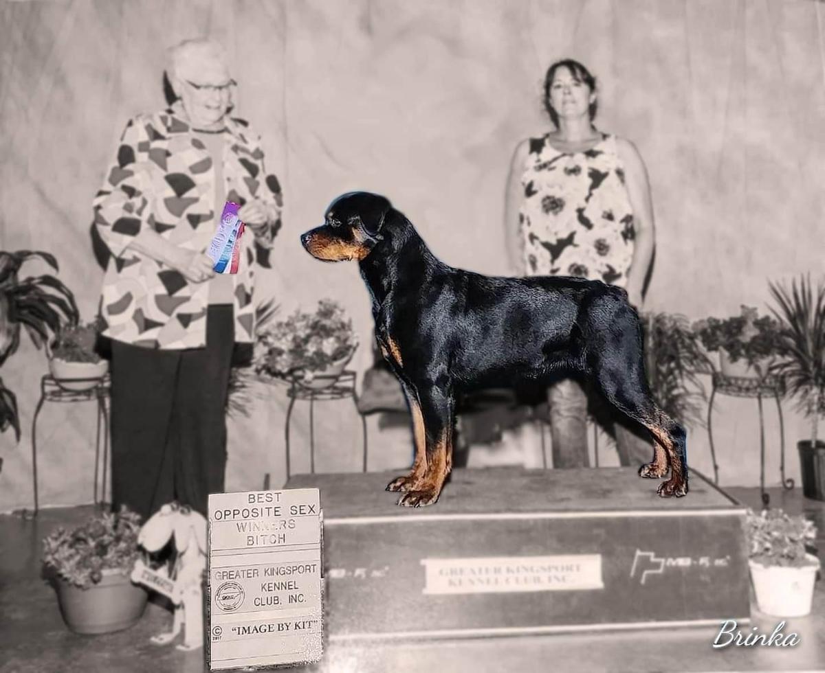 Benskin's Fabrique von Edelhaus