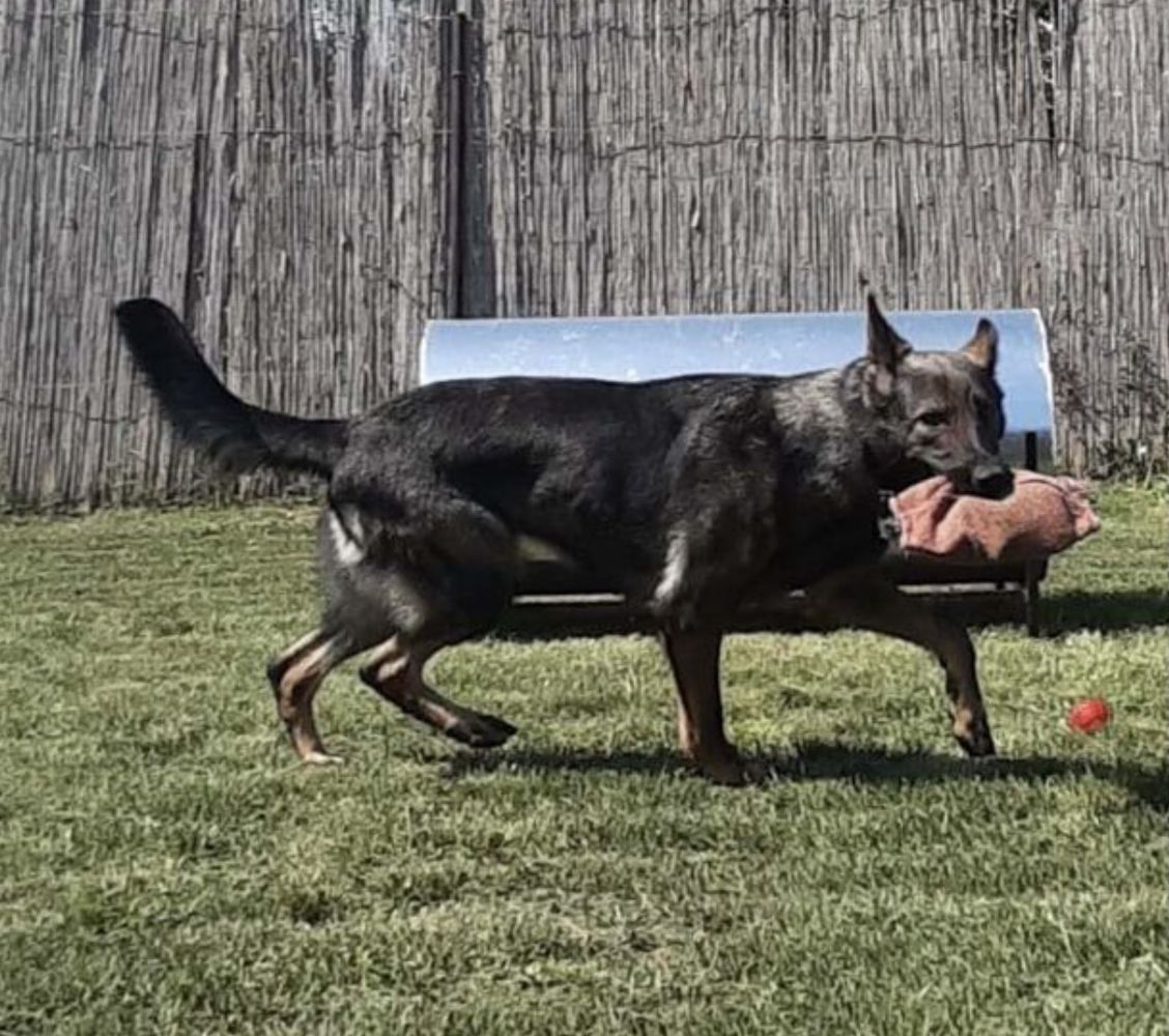 Heroine von der Schwarzen Monster