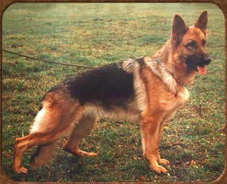 V Berta vom Germannshof