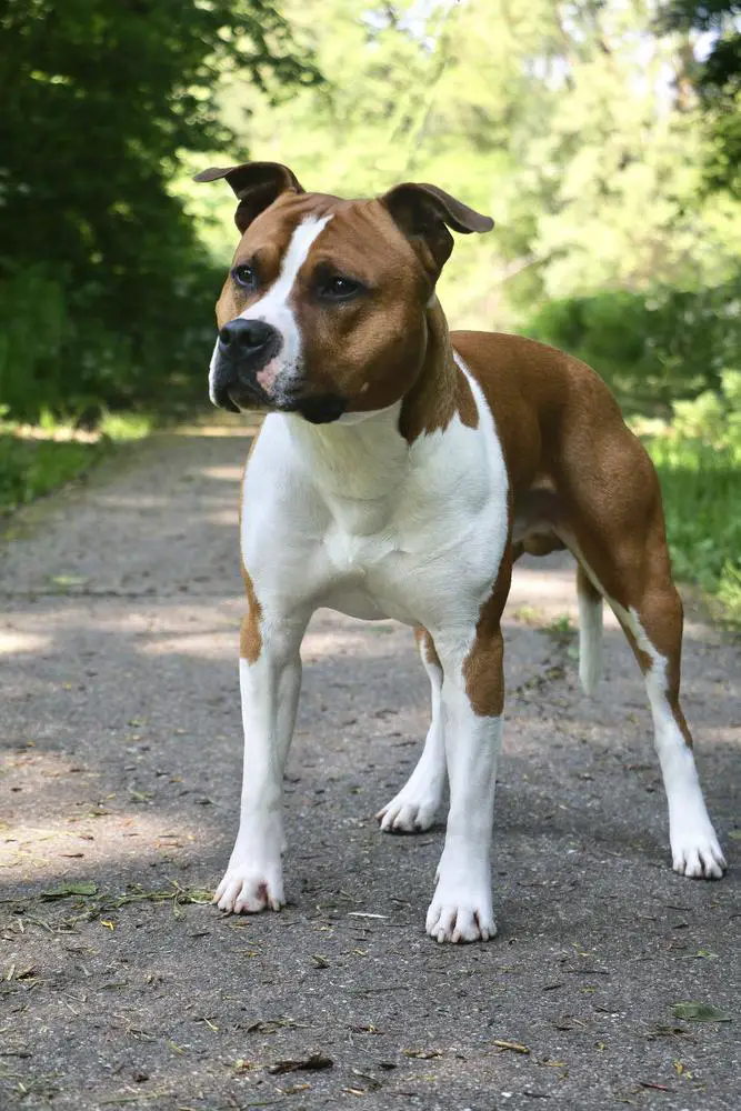 Ready Set Go from Nature's Finest