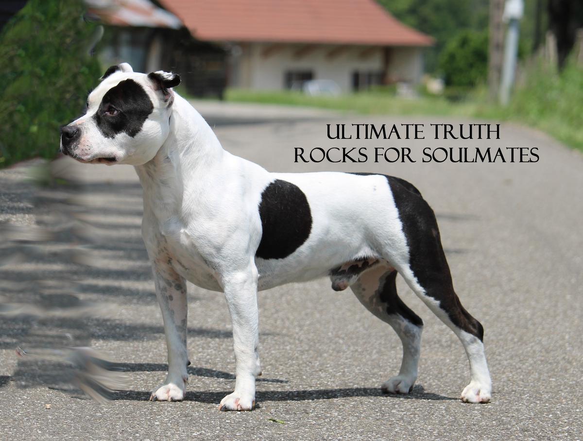 Ultimate Truth Rocks For Soulmates