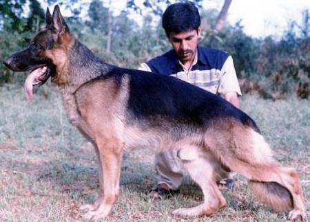 Tenno von der Freiheit Westerholt