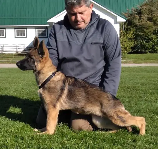 Mousam Kysarah's Throw Caution To The Wind