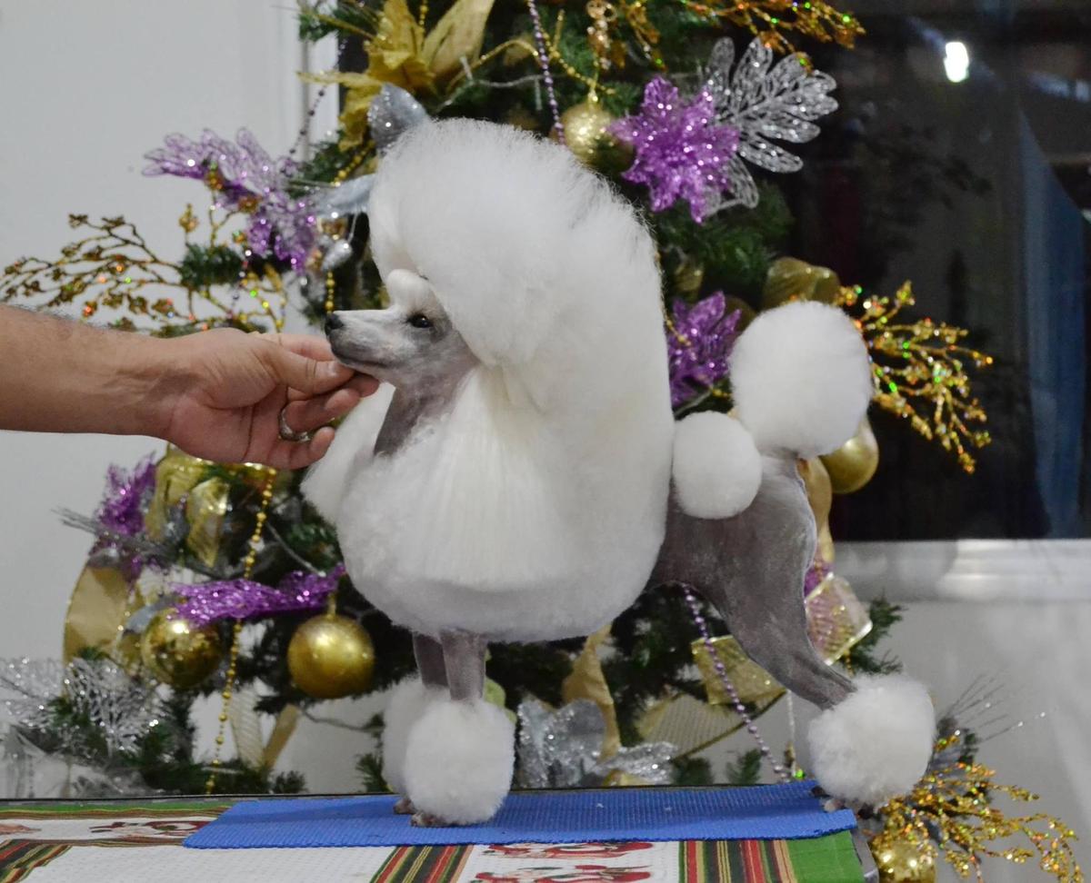 DAVINCI`S GV GIVE ME ALL YOUR LOVE