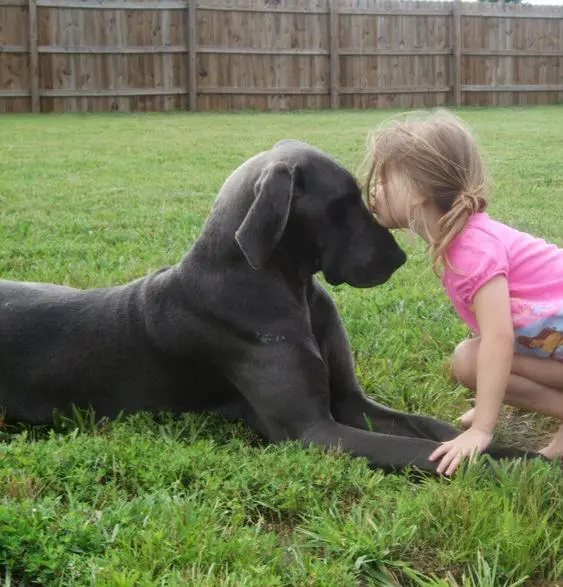 Bluespring's Princess Attie