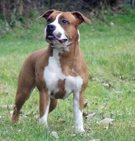 Piotrowski’s One and Only