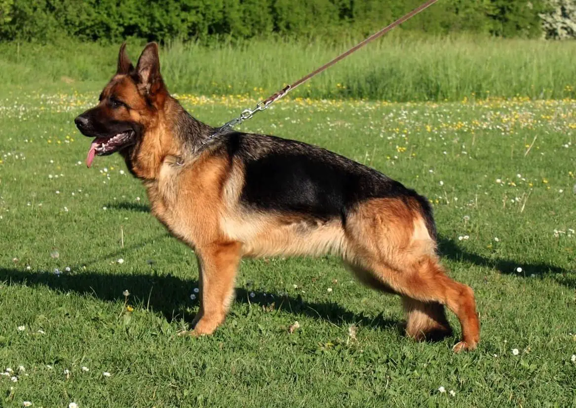 V Zuna vom Hühnegrab