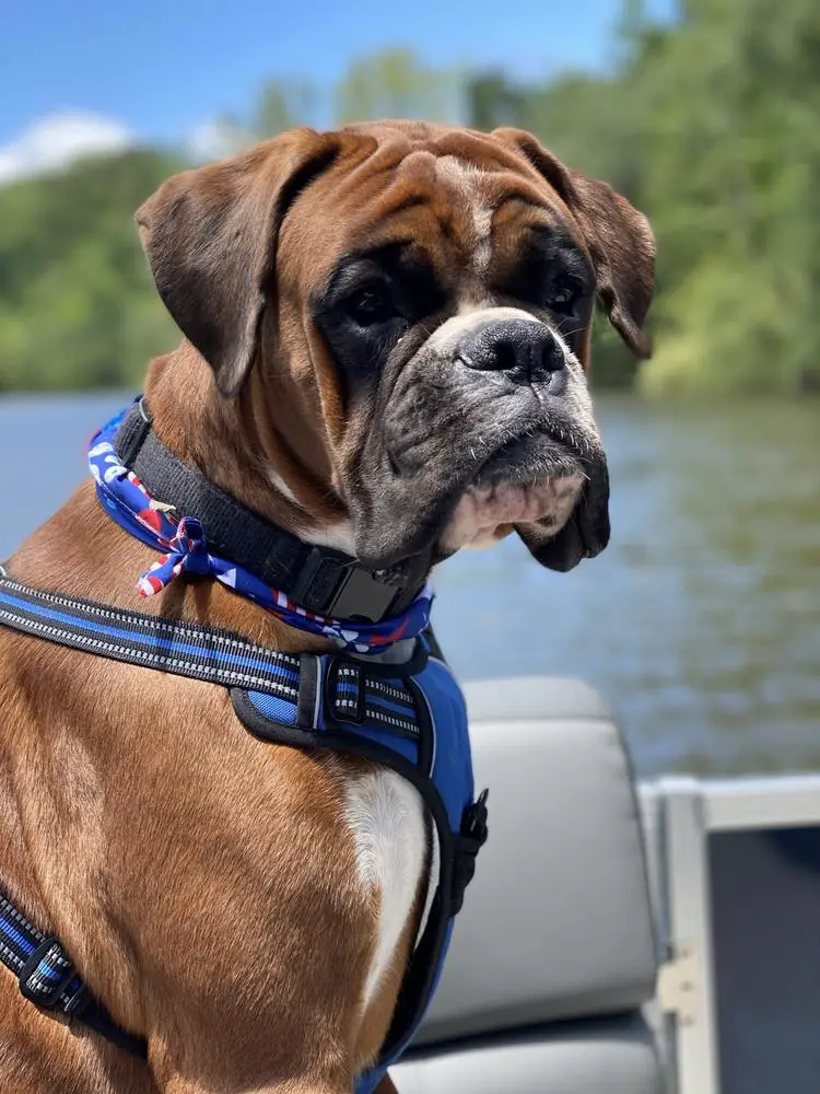 keenbox founders reserve kratos