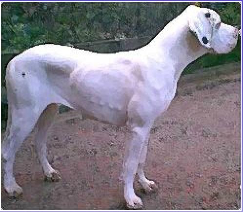 GLENN-A DEI MONTI DEL KERATON