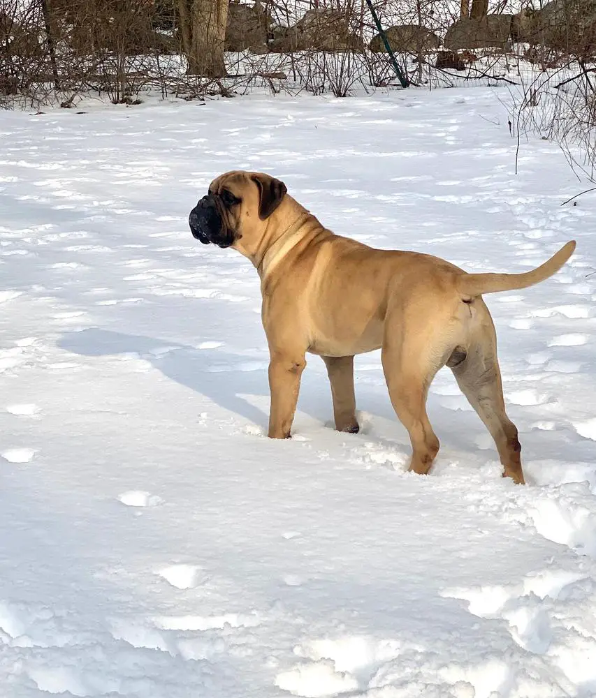 Amulet's This Is Your Song